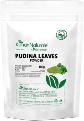 Kerala Naturals Pudina/Mint Leaves Powder 200gm (100gm x 2 Packs)-Moisturiser, Cleanser, Toner.(200 g)