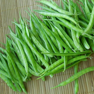 XOLDAA CLUSTER BEANS SEEDS Seed(20 per packet)