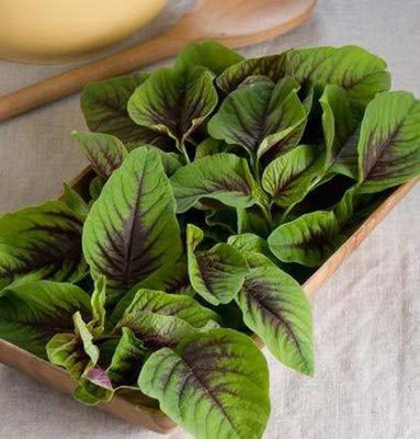 Aywal Amaranthus Leaf Cholai Green Saag Seed(800 per packet)