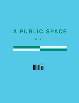 A Public Space No. 30(English, Paperback, unknown)