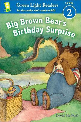 Big Brown Bear's Birthday Surprise (GLR Level 2)(English, Paperback, McPhail David)