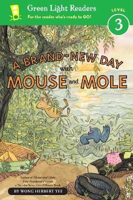 Brand-New Day With Mouse and Mole: Green Light Readers Level 3(English, Paperback, Yee Wong Herbert)