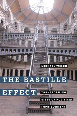 The Bastille Effect(English, Paperback, Welch Michael)