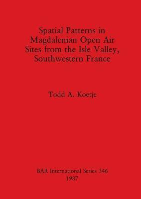 Spatial patterns in Magdalenian open air sites from the Isle valley, southwestern France(English, Paperback, Koetje Todd A)