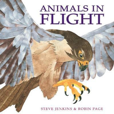 Animals in Flight(English, Paperback, Jenkins Steve)