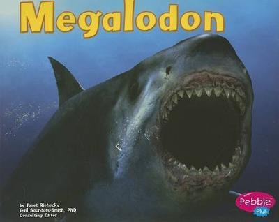 Megalodon (Dinosaurs and Prehistoric Animals)(English, Paperback, Riehecky Janet)