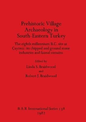 Prehistoric Village Archaeology in South-eastern Turkey(English, Paperback, unknown)