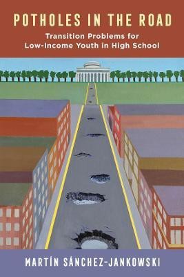 Potholes in the Road(English, Paperback, Sanchez-Jankowski Martin)