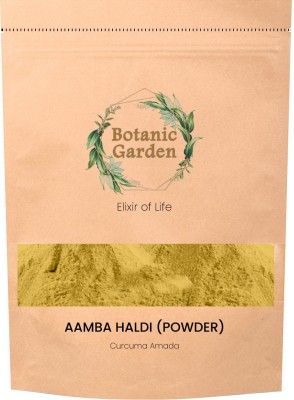 botanic garden Aamba Haldi Powder 250gms /Curcuma amada/Mango-ginger, Wild Turmeric(250 g)