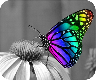 ZORI RAINBOW BUTTERFLY Printed Mouse Pad for Gaming Computer, Laptop MousePad Non Slip Base Mousepad(Multicolor)