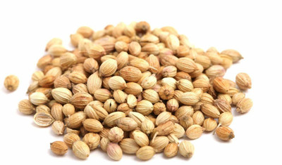Kapebonavista Dhania Seed Coriander Seed Coriandrum Sativum Micro Greens Seeds 100 Pcs Seed(1 per packet)