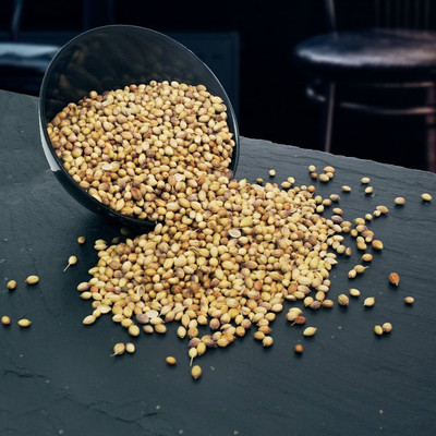 MKR Enterprises Coriander Seed(50 per packet)