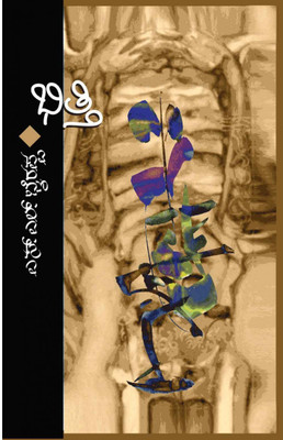 Bhitti - (Kannada) (Paperback, Kannada, S L Bhyrappa)(Paperback, Kannada, S.L. Bhyrappa)