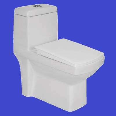Vardhman Ceramics Floor Mounted EWC Toilet One Piece Water Closet S Trap Distance 225mm / 9 Inch Western Commode