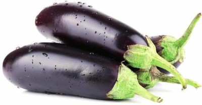 MKR Enterprises Brinjal Seed(100 per packet)