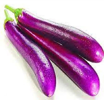 MKR Enterprises Brinjal Seed(100 per packet)