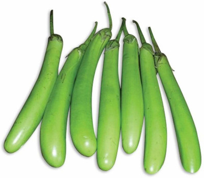 Aywal Brinjal green long Vegetable Seed(25 per packet)