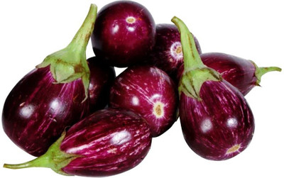 VibeX PAU-96 - Organic Brinjal Chu Chu - (1350 Seeds) Seed(1350 per packet)