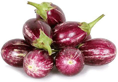 CYBEXIS LX-64 - Brinjal Chu Chu - (450 Seeds) Seed(450 per packet)