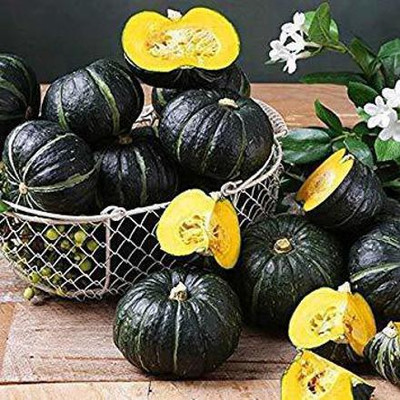 Aywal Pumpkin Vegetable F1 Hybrid Seed(18 per packet)