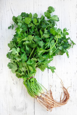 EVY Coriander Green Seed(100 per packet)