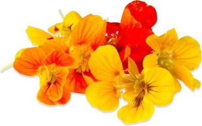 MAA Nasturtium Seed(16 per packet)