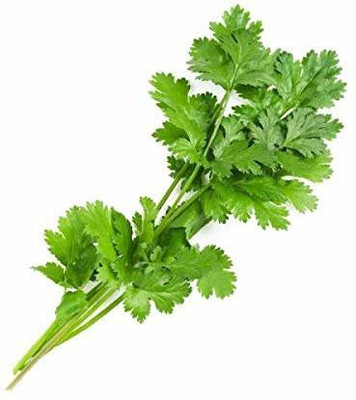 EVY Coriander Green Seed(100 per packet)