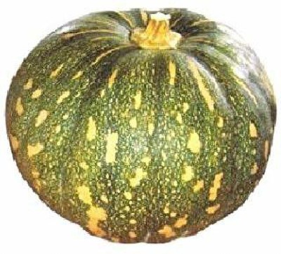 EVY Pumpkin Seeds Seed(100 per packet)