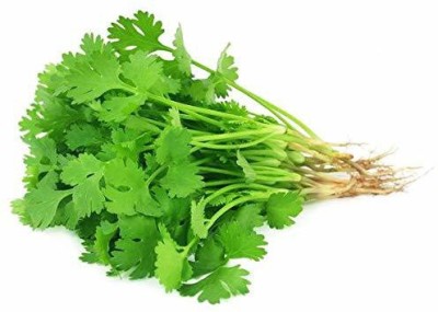 Aywal Hybrid Coriander Seed(275 per packet)