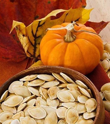 CYBEXIS XLR-91 - Organic - Yellow Pumpkin - (100 Seeds) Seed(100 per packet)