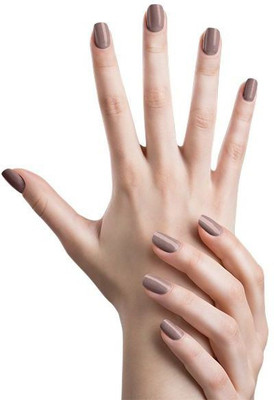 Miscos Byzantine, Glossy Pack of 2 each 16ml Puce brown(Pack of 2)
