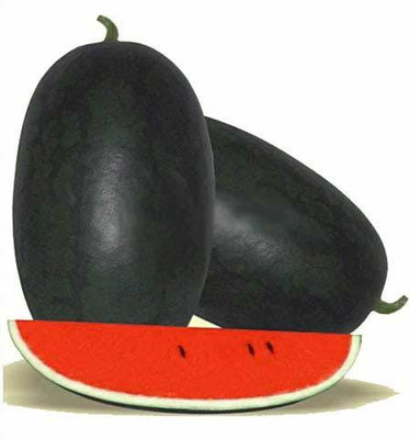 KALAGIA watermelon seeds, Seed(20 per packet)