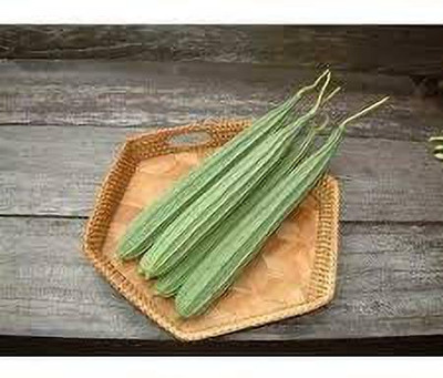 Aywal Ridge gourd (courge torchon) Seed(375 per packet)
