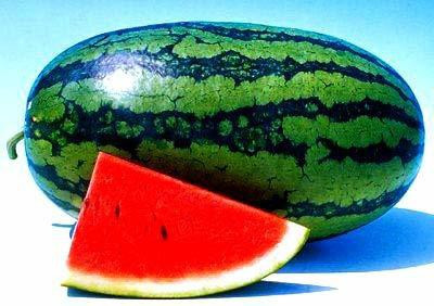 Decon Watermelon Seed(50 per packet)