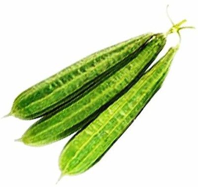 MKR Enterprises Spong Gourd Seed(50 per packet)