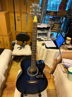 Challenger acoustic clearance guitar price