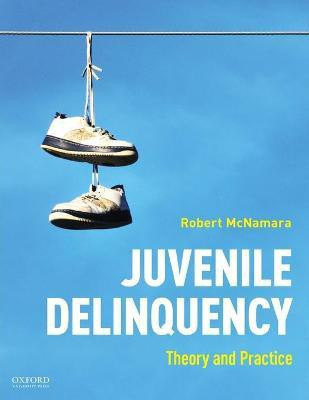 Juvenile Delinquency(English, Paperback, McNamara Robert)