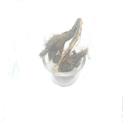 JUST ONE CLICK innovative flavors Scent Fish Bait(25 g)