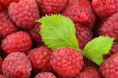 Cosmos Raspberry sweet fruit hybrid eco-friendly Seed(100 per packet)