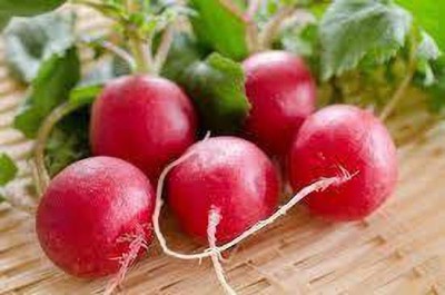 Gromax India Radish Red Round Seeds With Free Try Me Seeds Pack Seed(40 per packet)