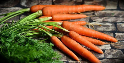 Gromax India Carrot Orange Seeds With Free Try Me Seeds Pack Seed(40 per packet)