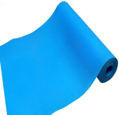 Dakshya Industries Rectangular Pack of 1 Table Placemat(Blue, PVC)