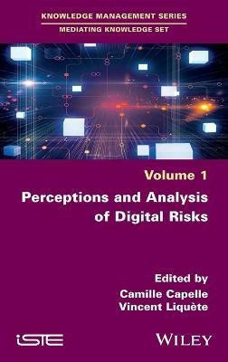 Perceptions and Analysis of Digital Risks(English, Hardcover, unknown)