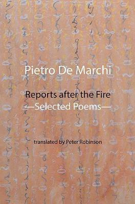 Reports after the Fire(English, Paperback, De Marchi Pietro)
