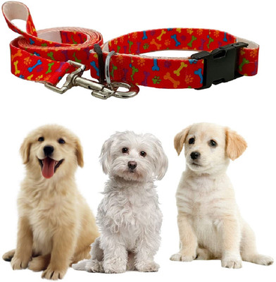 Jainsons Pet Products 150 cm Dog Strap Leash(Orange)