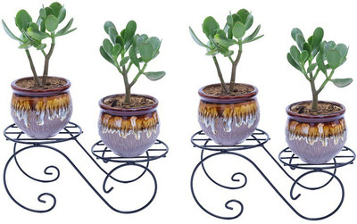 Easyroot Plant Container Set(Pack of 2, Metal)