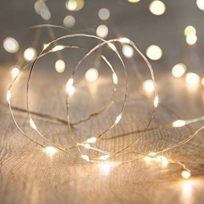 Janish 30 LEDs 3.05 m Gold Steady String Rice Lights(Pack of 2)