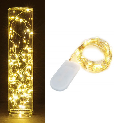 Janish 30 LEDs 3.05 m Gold Steady String Rice Lights(Pack of 2)