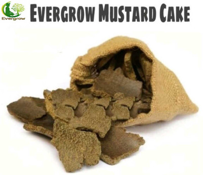 EVERGROW Natural Organic Mustard Cake for Plants Fertilizer for Home Garden, 1 kg Fertilizer(1 kg, Cake)