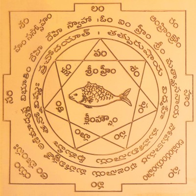 aalayam selveer Matsya Yantra(Vastu Matsya Yantra) | Matsya Yantram Telugu Size 6 Inches Copper Yantra